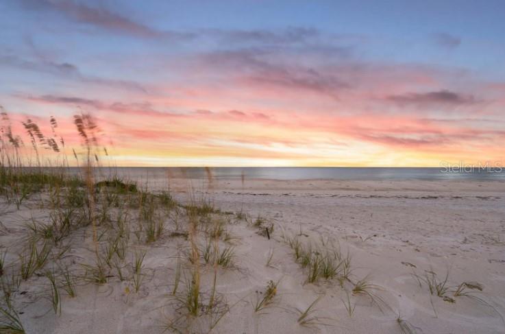 840 MANDALAY AVE, CLEARWATER BEACH, FL, 33767
