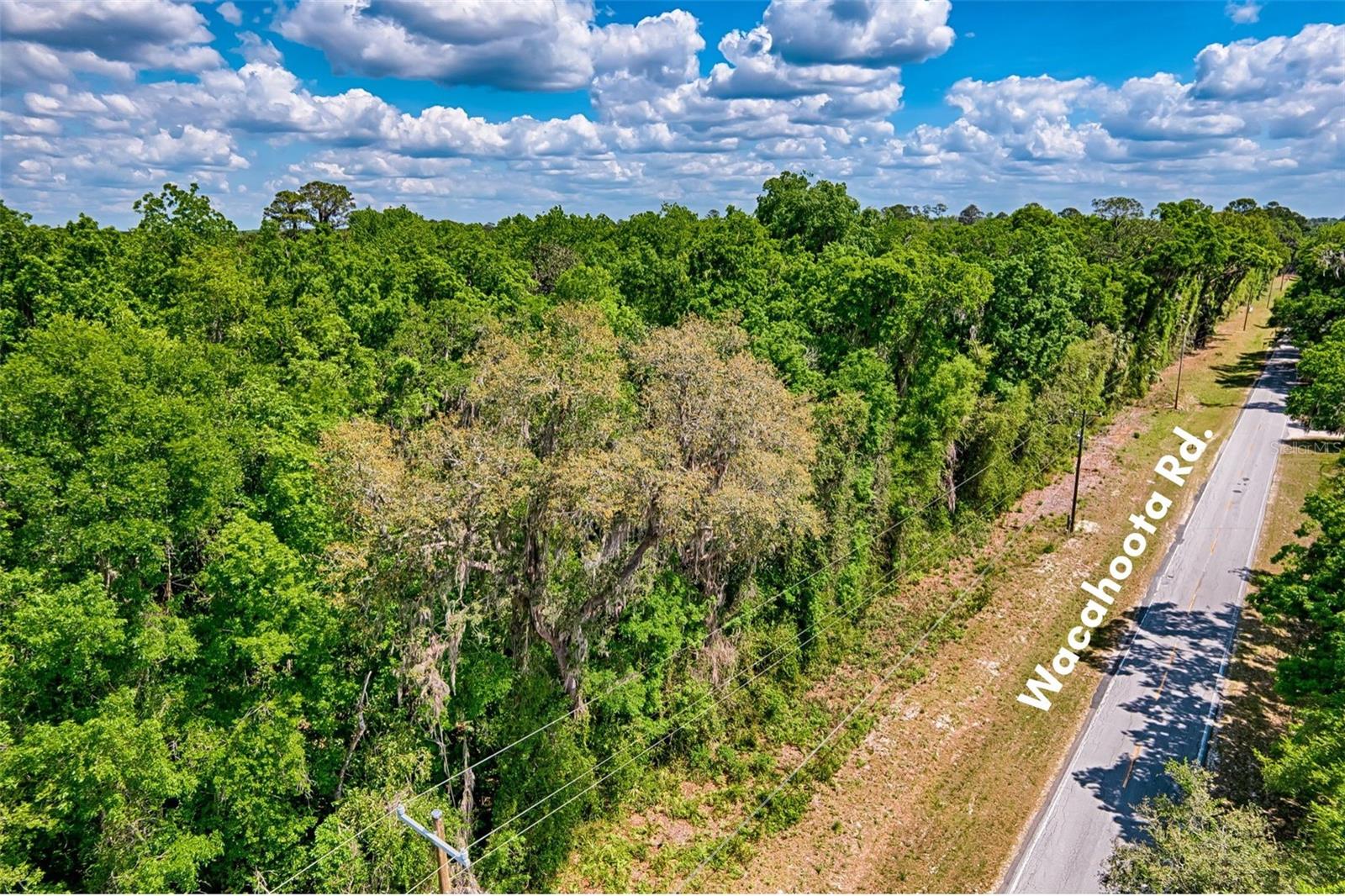 110 SE WACAHOOTA RD, MICANOPY, FL, 32667