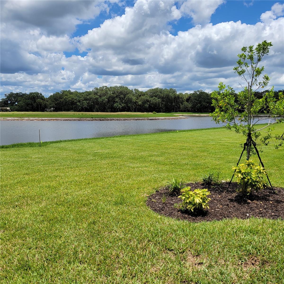 10254 MORNING MIST LN, SARASOTA, FL, 34241