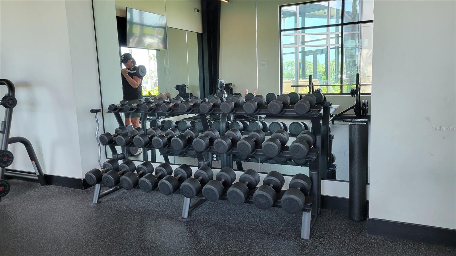 10254 MORNING MIST LN, SARASOTA, FL, 34241