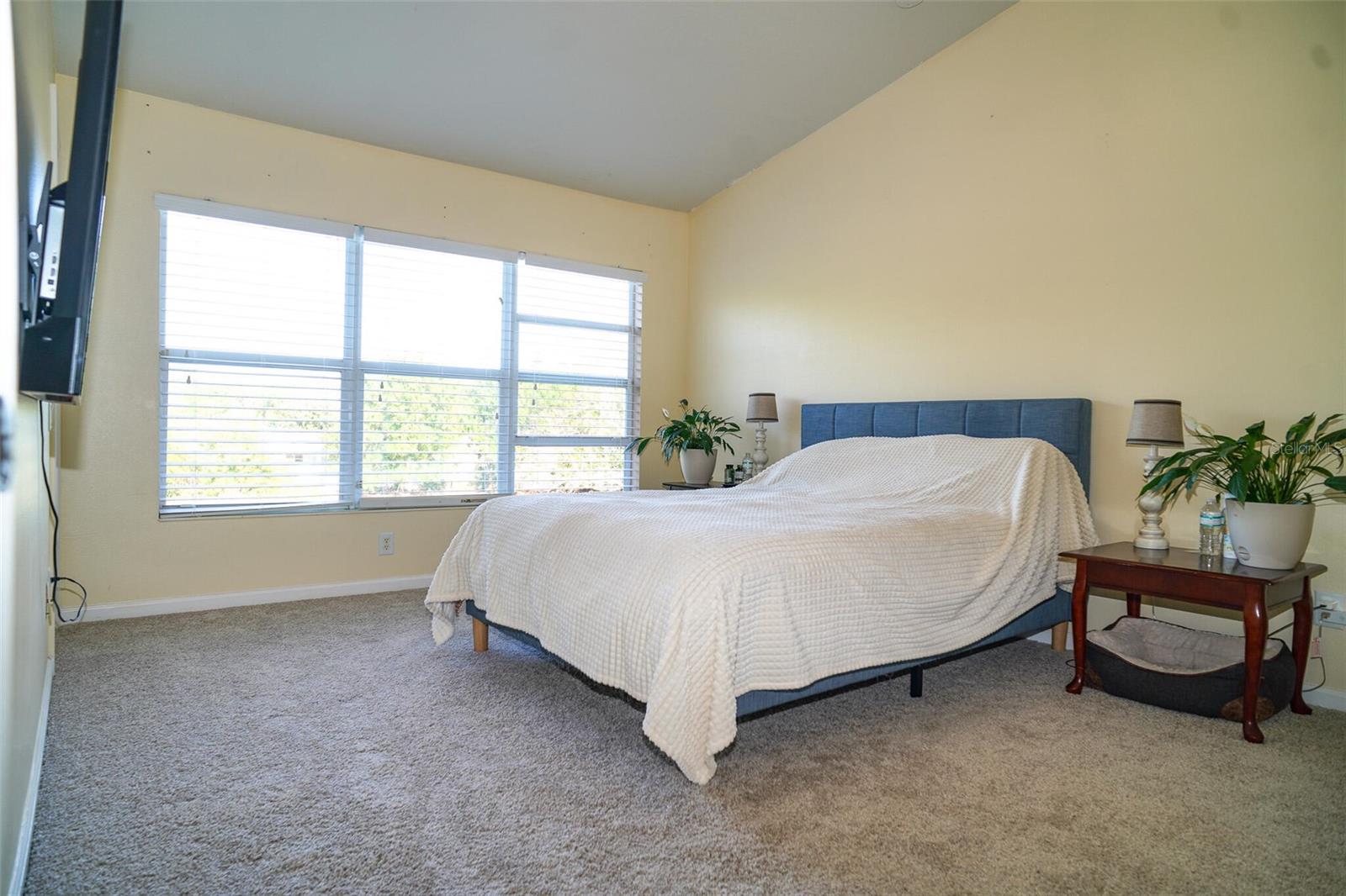 10217 WESTPARK PRESERVE BLVD, TAMPA, FL, 33625