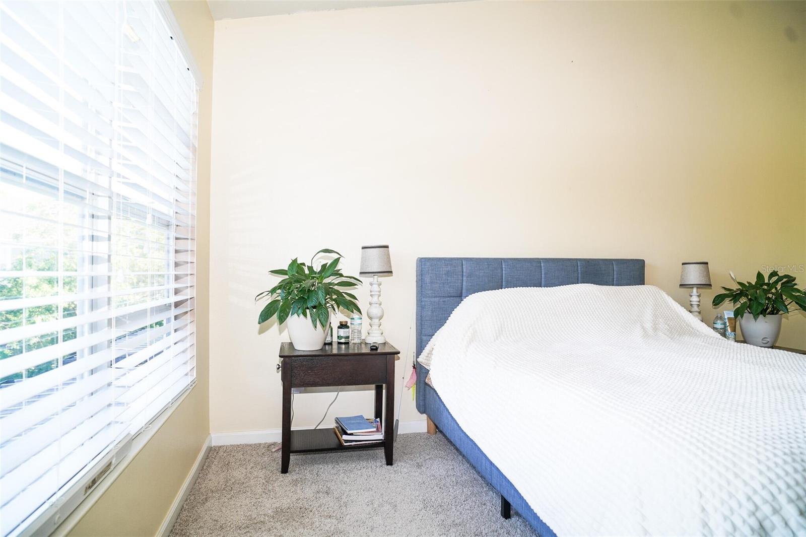 10217 WESTPARK PRESERVE BLVD, TAMPA, FL, 33625