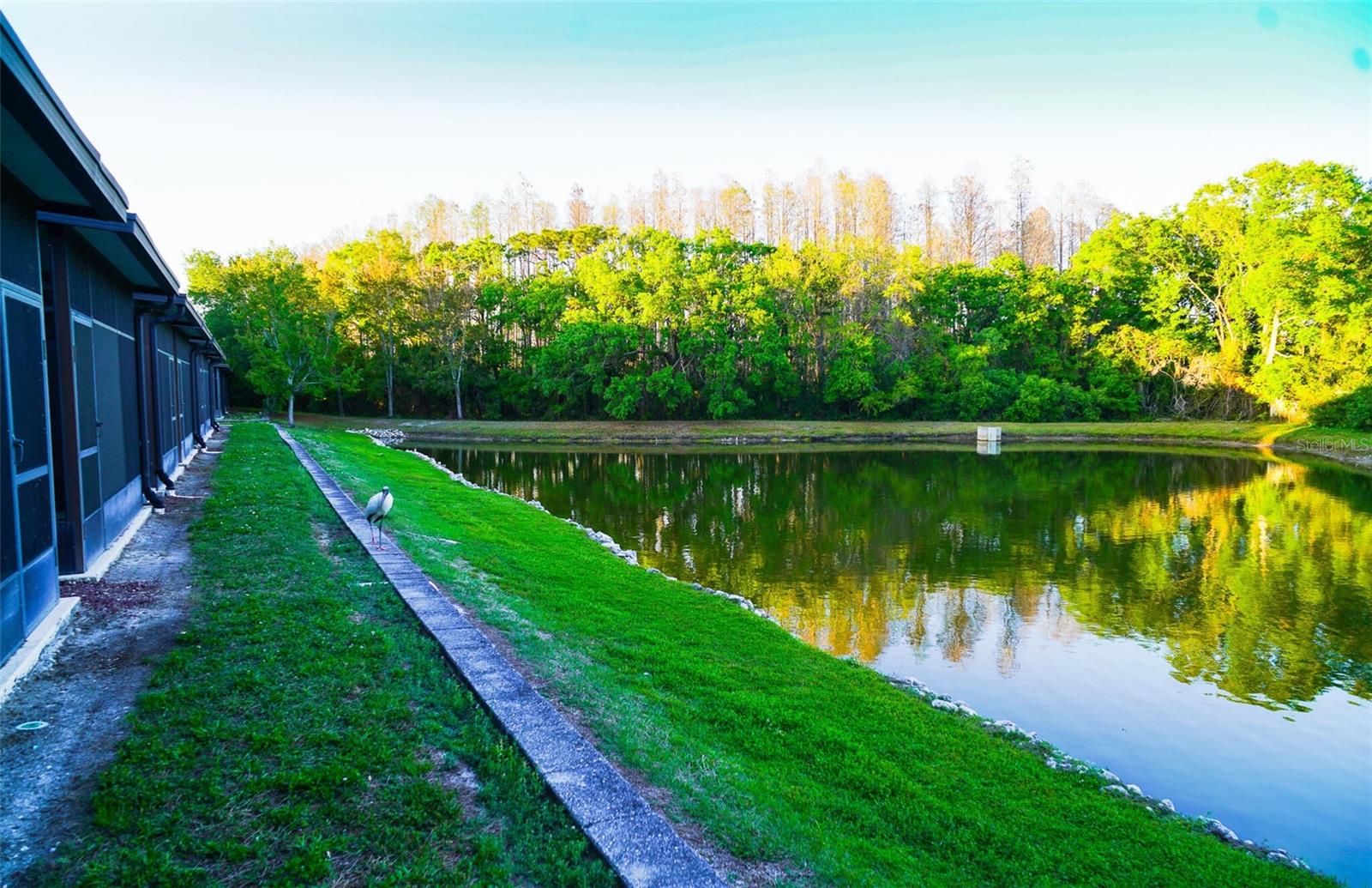 10217 WESTPARK PRESERVE BLVD, TAMPA, FL, 33625