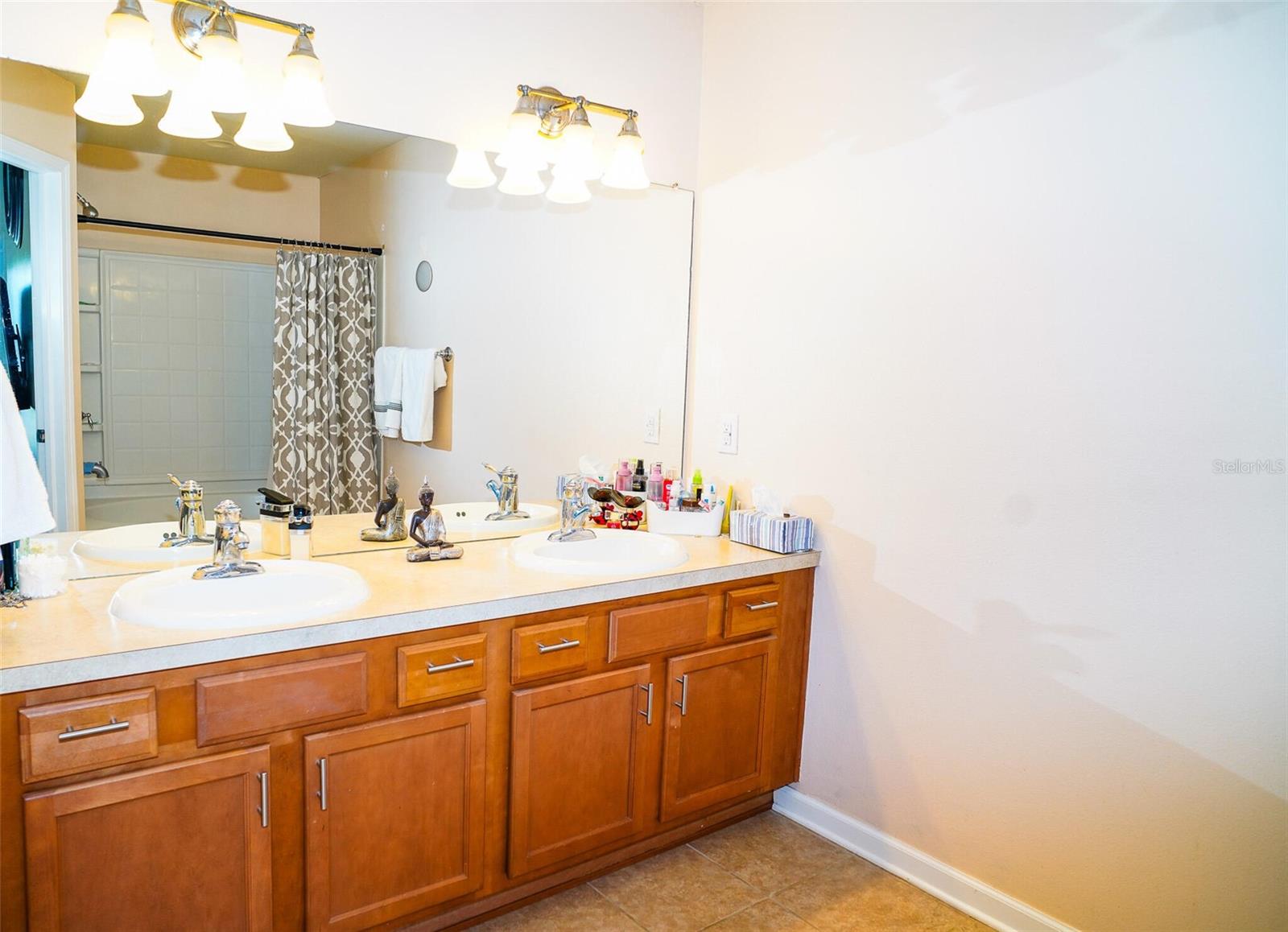 10217 WESTPARK PRESERVE BLVD, TAMPA, FL, 33625