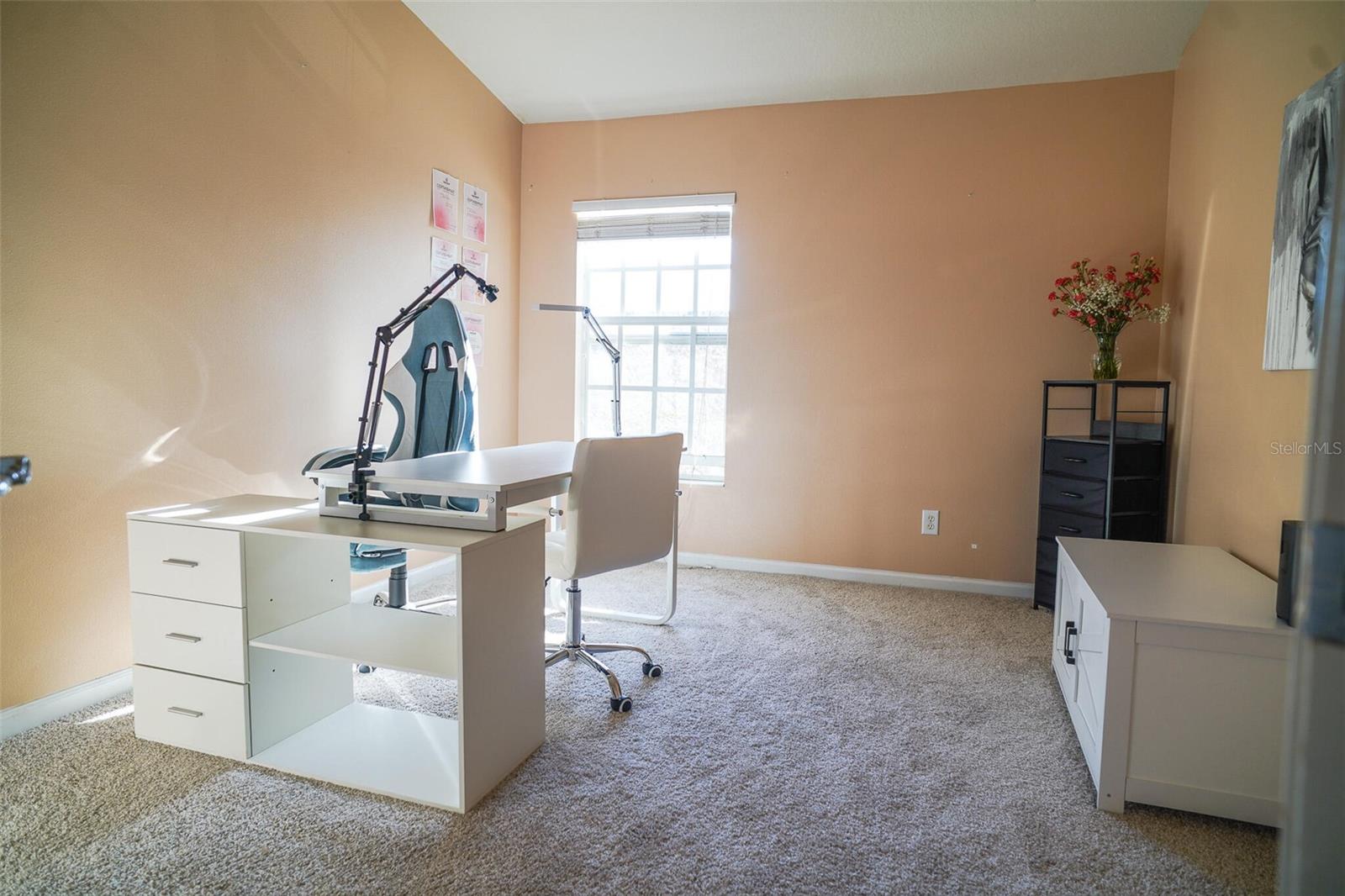 10217 WESTPARK PRESERVE BLVD, TAMPA, FL, 33625