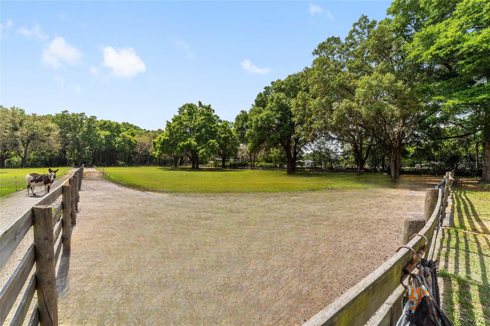 2720 SE 145TH ST, SUMMERFIELD, FL, 34491
