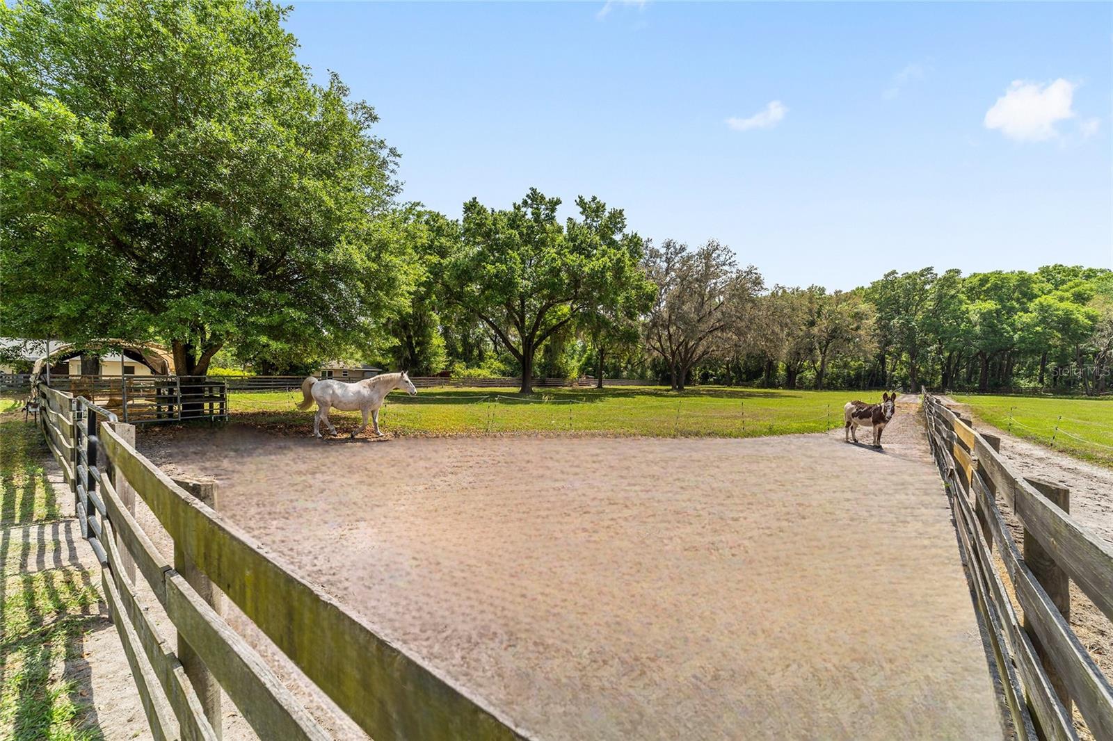 2720 SE 145TH ST, SUMMERFIELD, FL, 34491