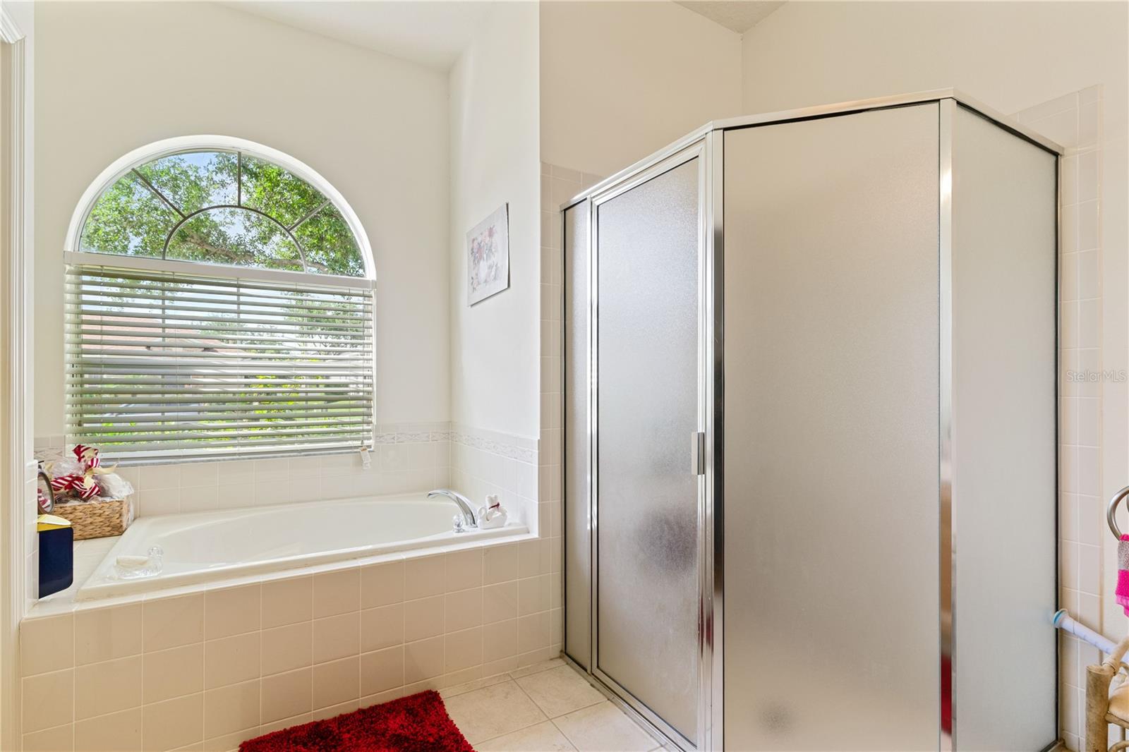 3440 TUMBLING RIVER DR, CLERMONT, FL, 34711