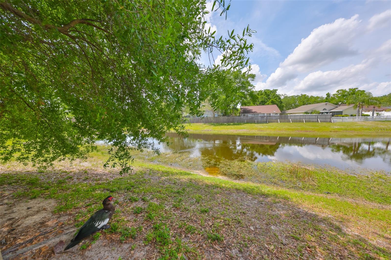 1747 TINKER DR, LUTZ, FL, 33559