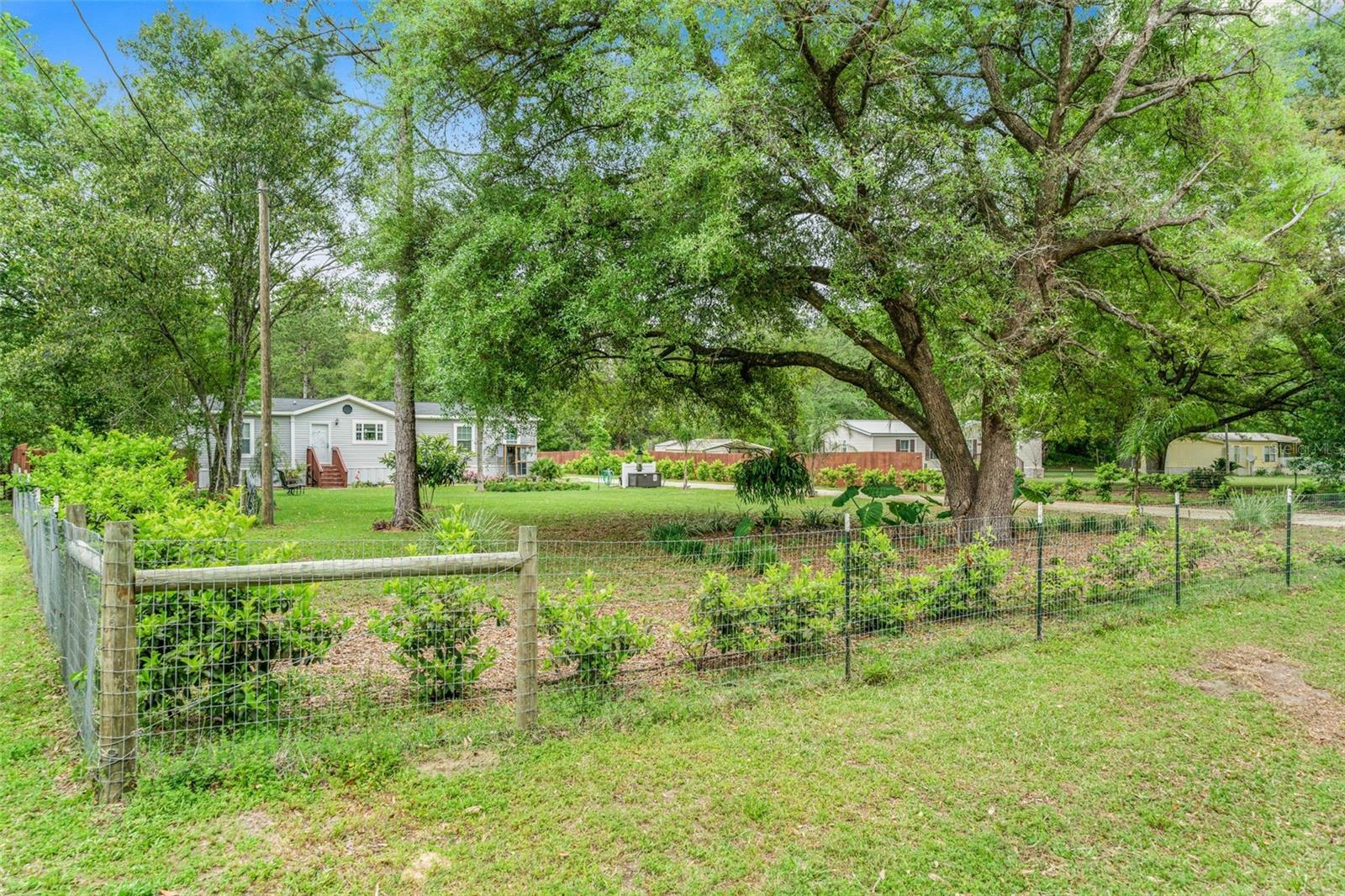 15691 NE 46TH ST, WILLISTON, FL, 32696