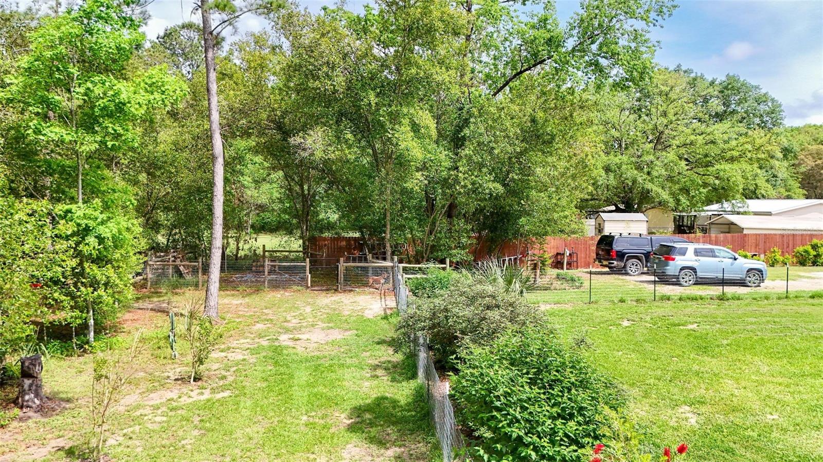 15691 NE 46TH ST, WILLISTON, FL, 32696