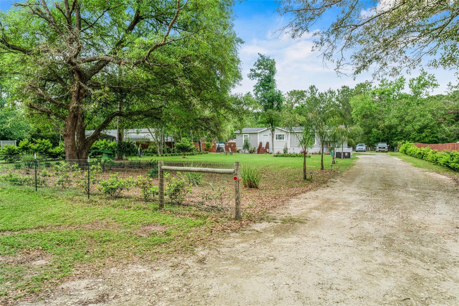 15691 NE 46TH ST, WILLISTON, FL, 32696