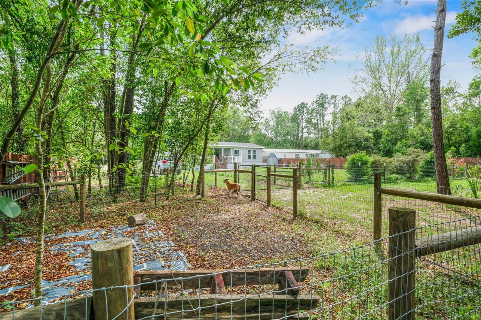 15691 NE 46TH ST, WILLISTON, FL, 32696