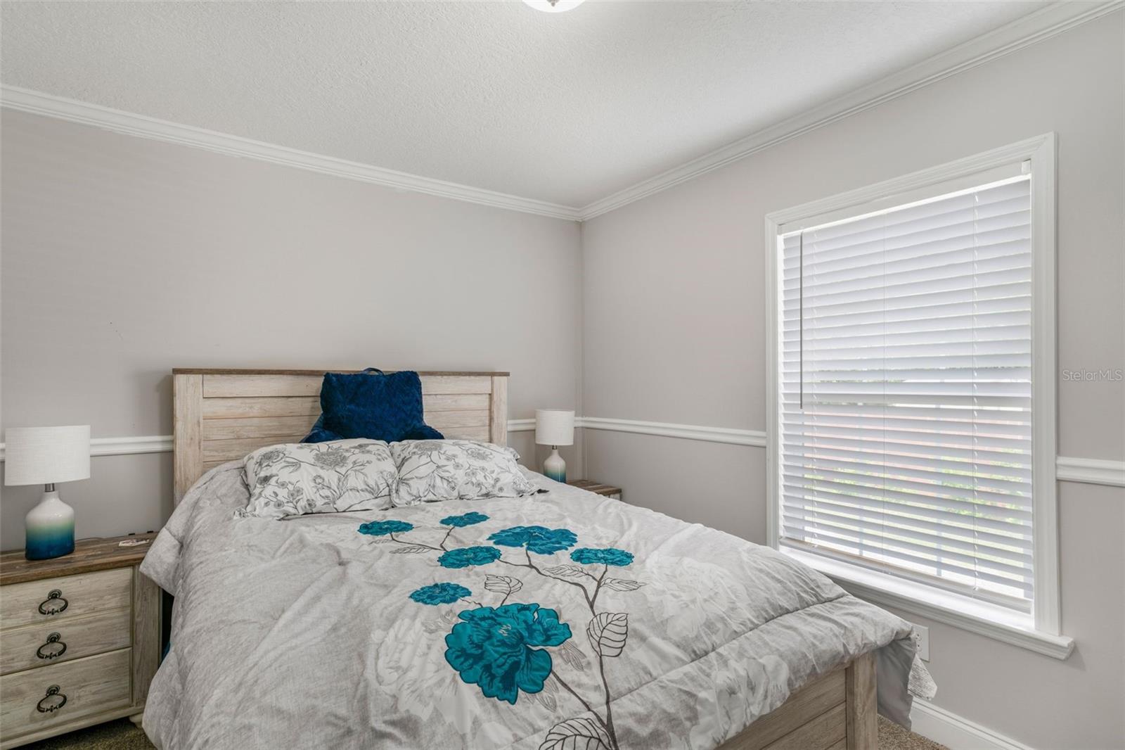 15691 NE 46TH ST, WILLISTON, FL, 32696