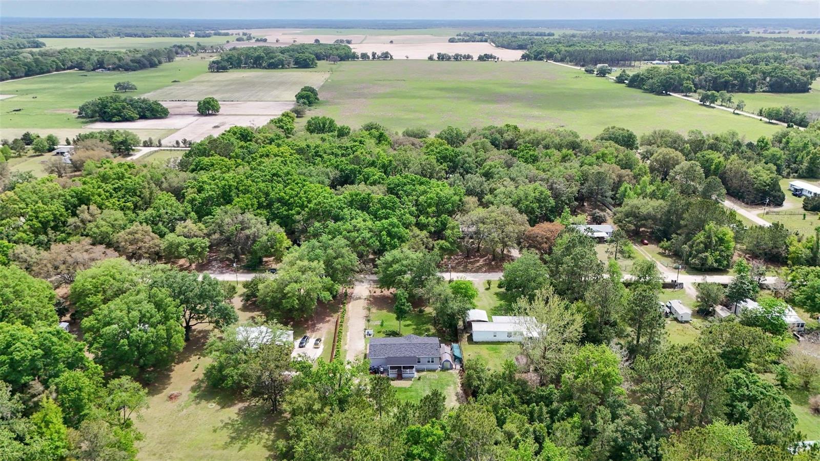 15691 NE 46TH ST, WILLISTON, FL, 32696