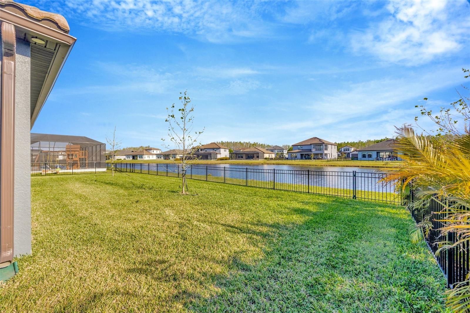 19828 CYPRESS BRIDGE DR, ODESSA, FL, 33556