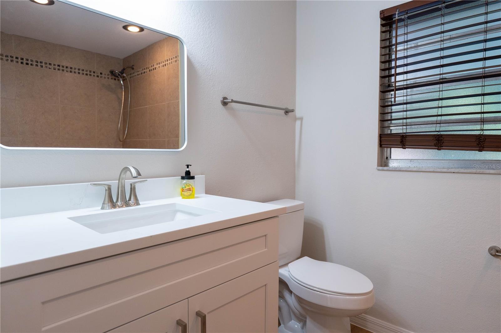 30542 HOYLAKE ST, SORRENTO, FL, 32776