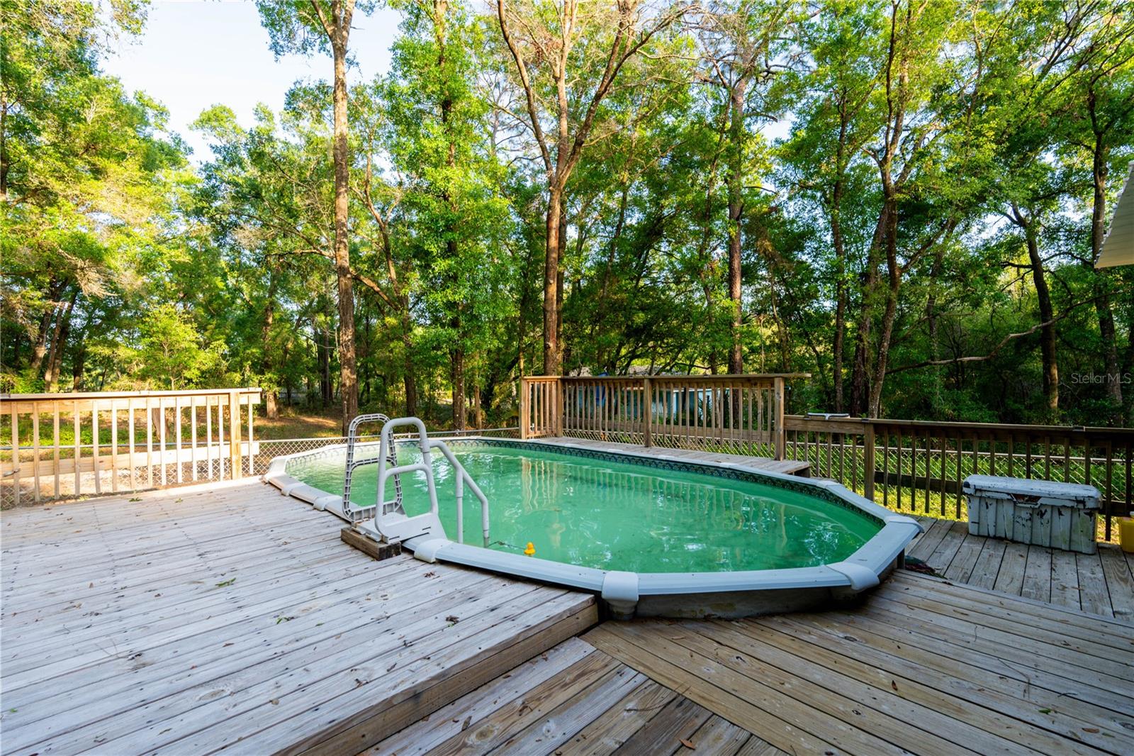 30542 HOYLAKE ST, SORRENTO, FL, 32776