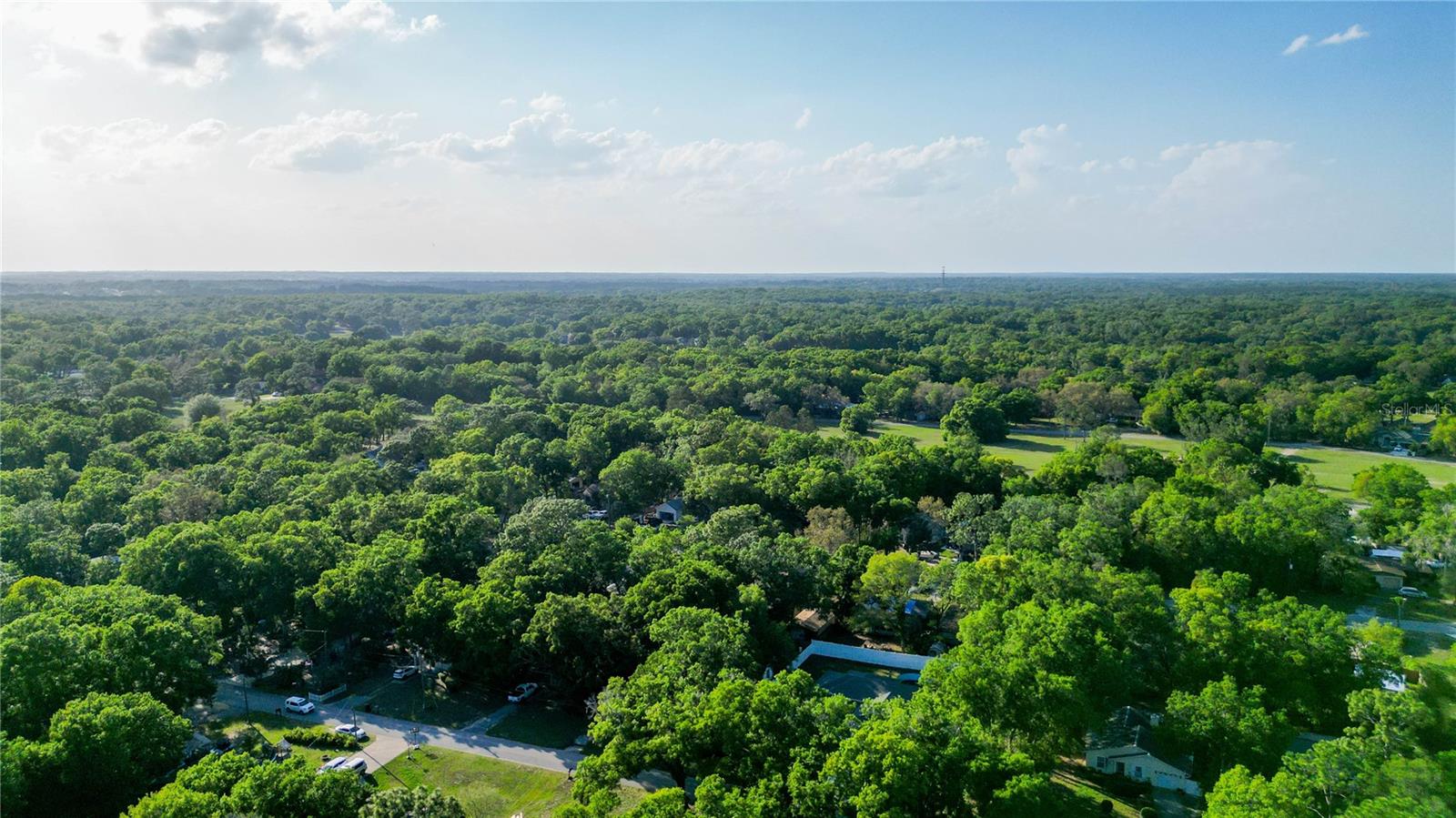 30542 HOYLAKE ST, SORRENTO, FL, 32776