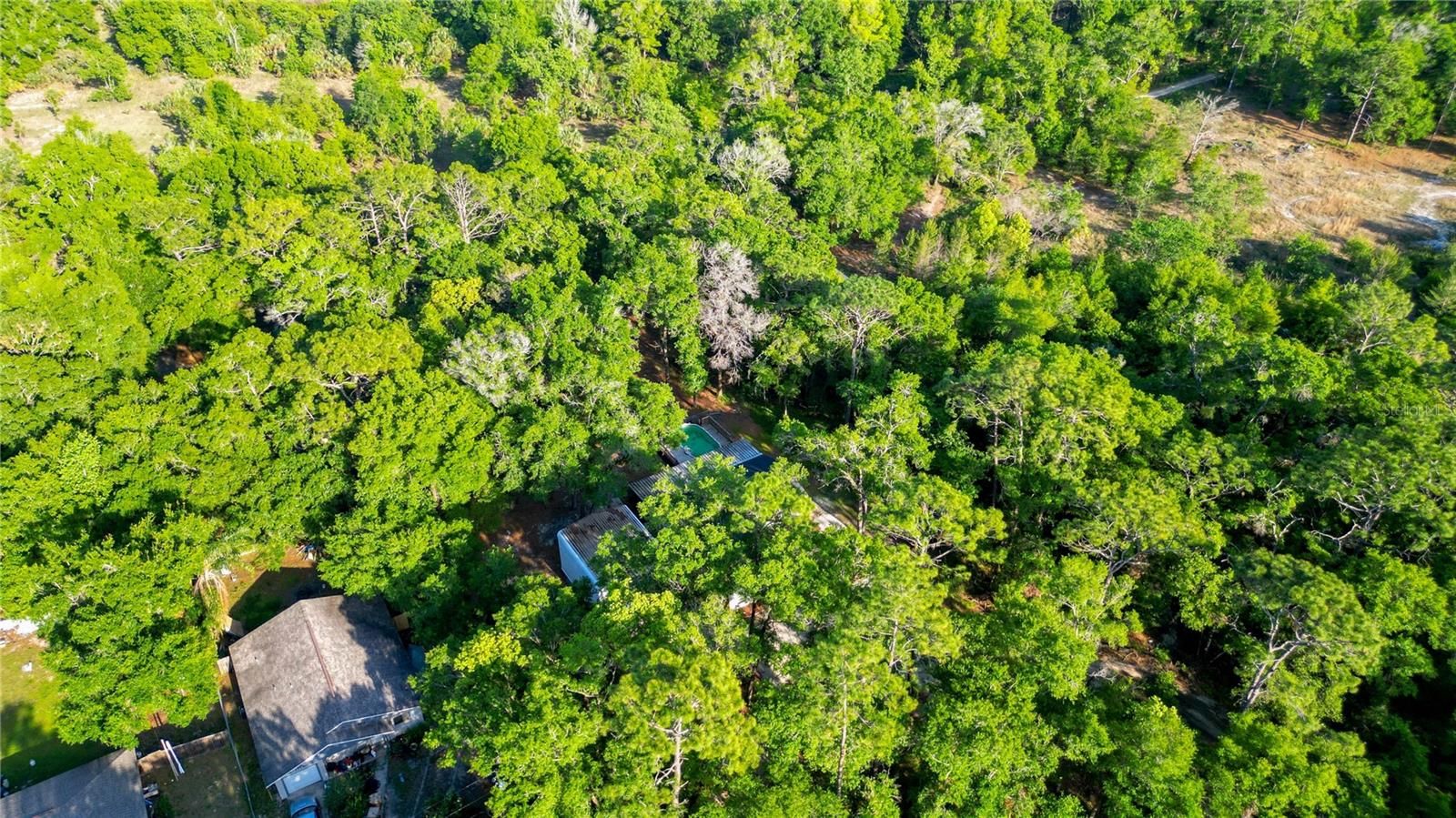 30542 HOYLAKE ST, SORRENTO, FL, 32776