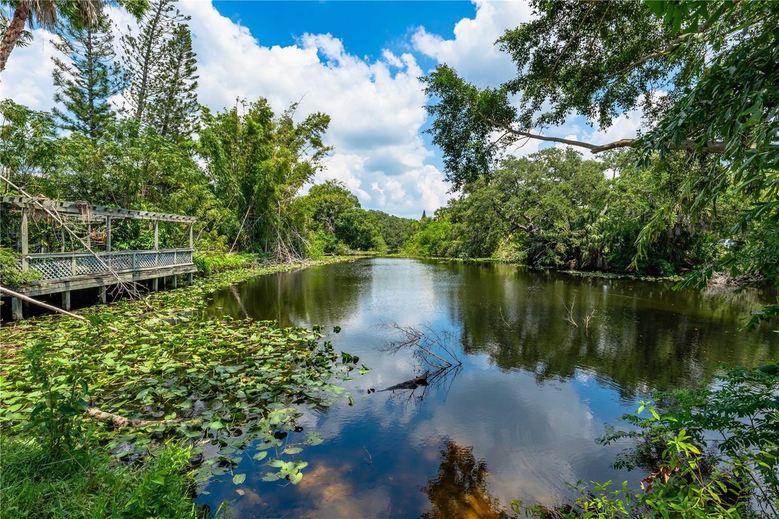 3709 ALDEN WAY, SARASOTA, FL, 34232
