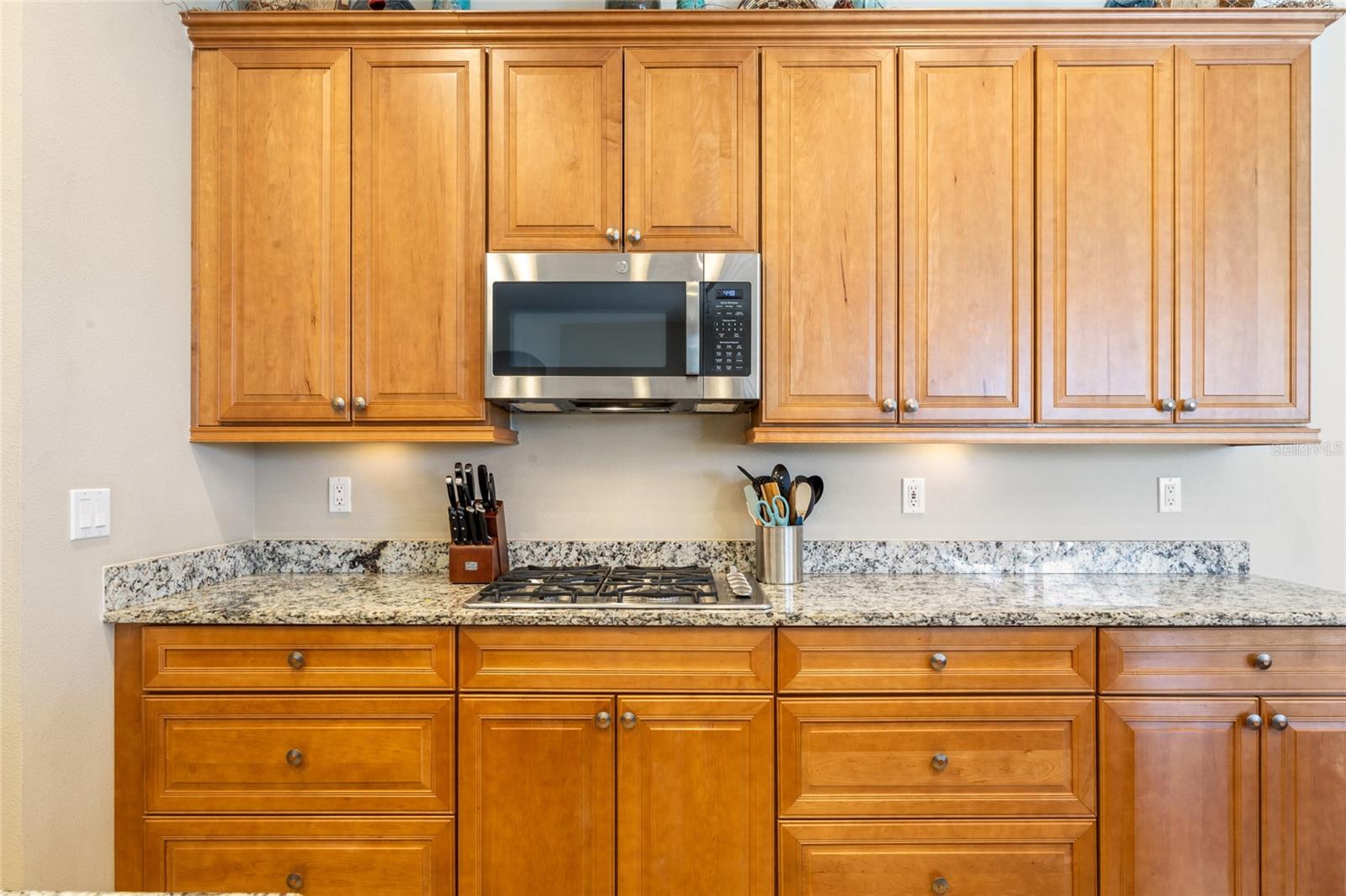544 RIMINI VISTA WAY, SUN CITY CENTER, FL, 33573