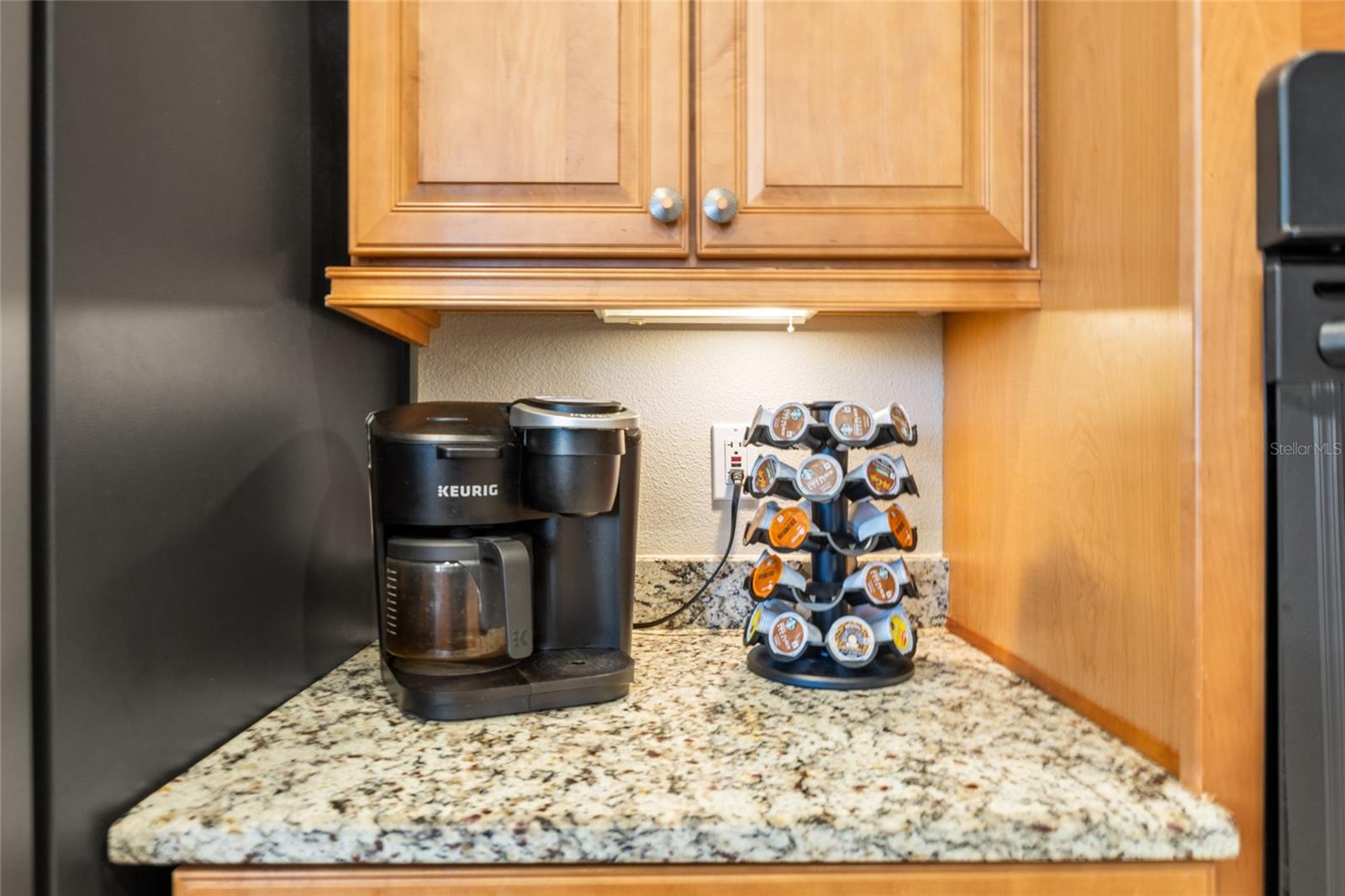 544 RIMINI VISTA WAY, SUN CITY CENTER, FL, 33573