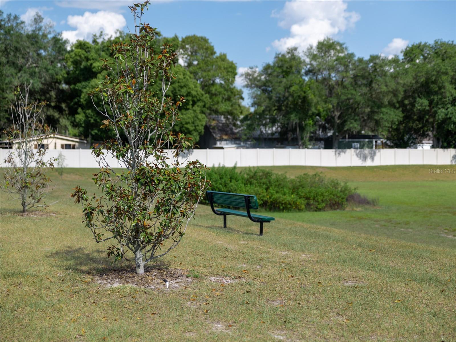 3686 ZEPHYR PRESERVE PL, ZEPHYRHILLS, FL, 33541