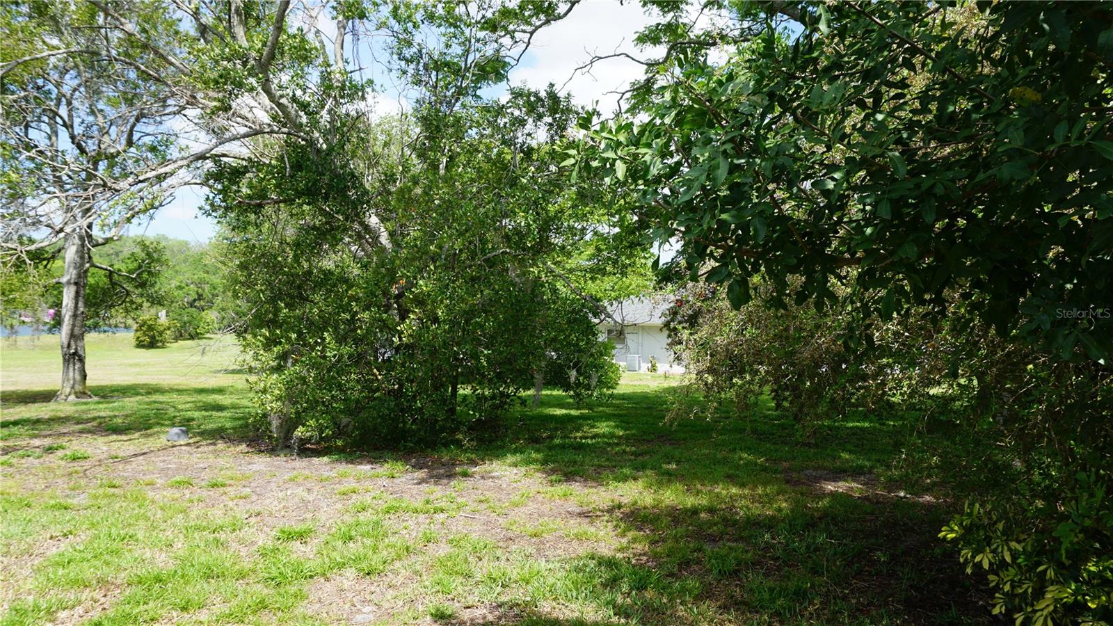 12371 DEARBORN DR, HUDSON, FL, 34667