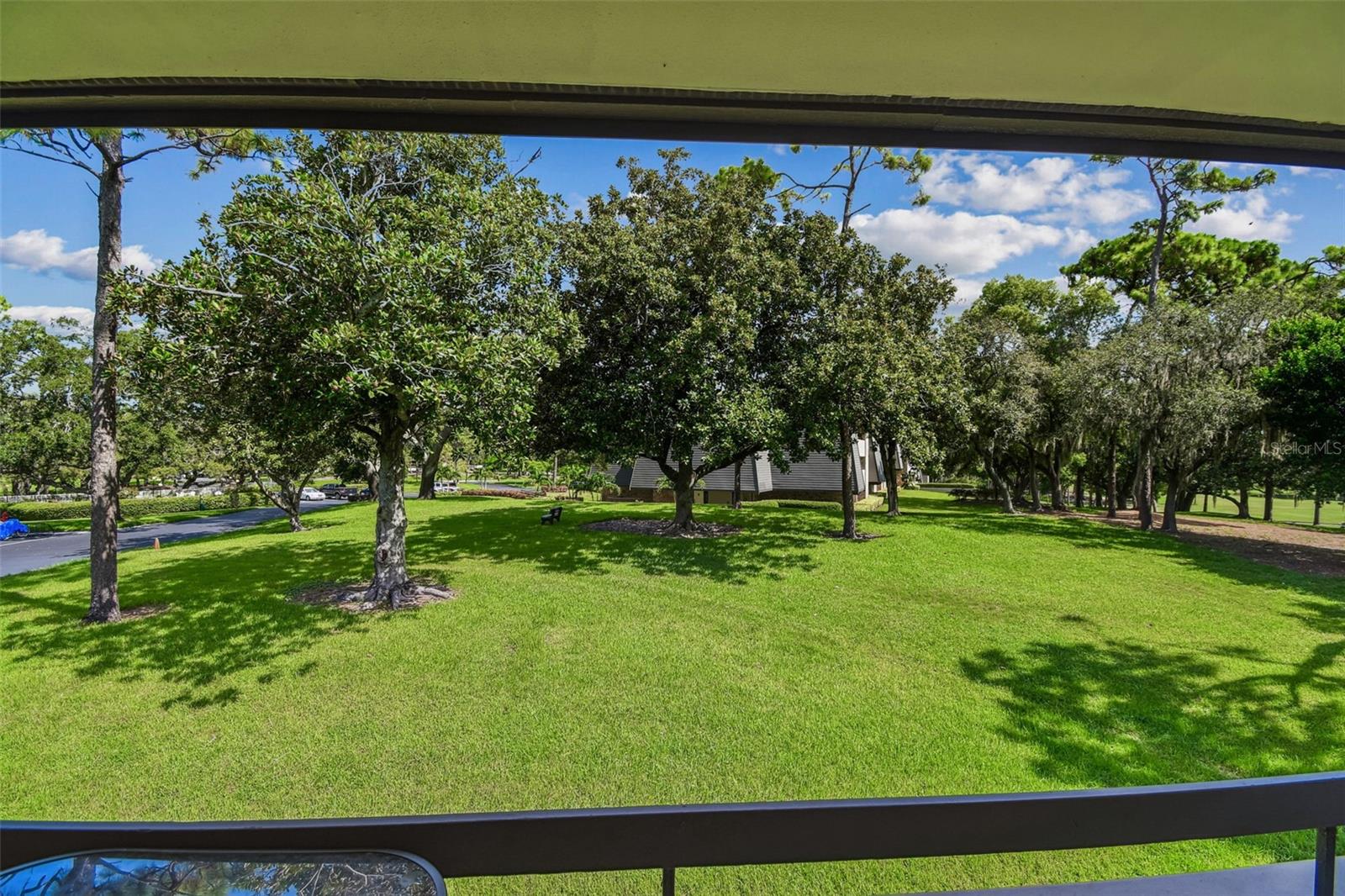 36750 US 19 N #22212, PALM HARBOR, FL, 34684