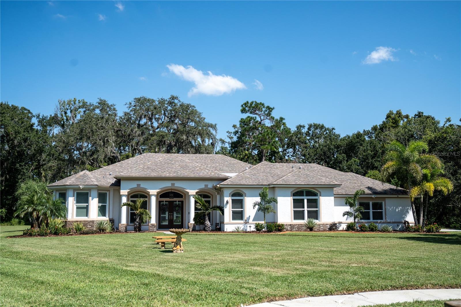 490 SILVER MOSS LN, TARPON SPRINGS, FL, 34688