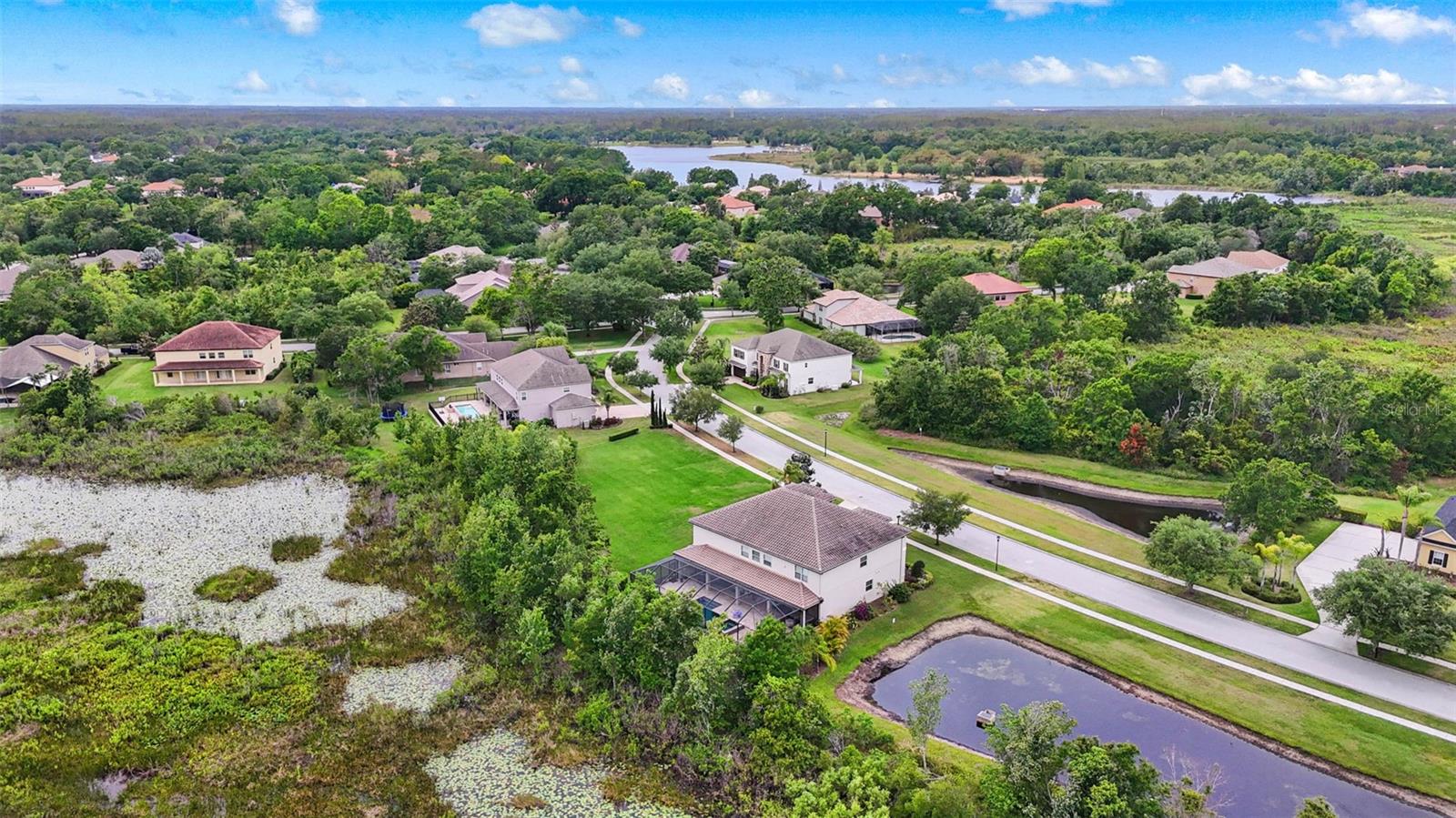 19810 PRINCE BENJAMIN DR, LUTZ, FL, 33549