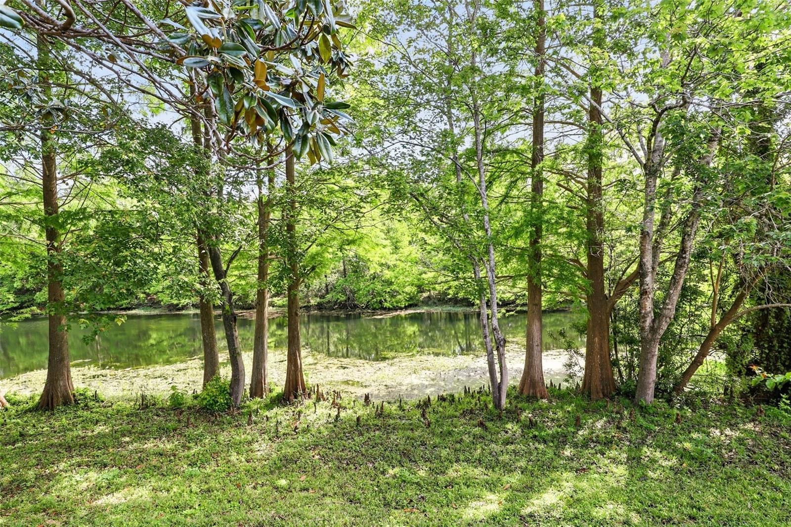 2987 SABEL OAK PL, OVIEDO, FL, 32765