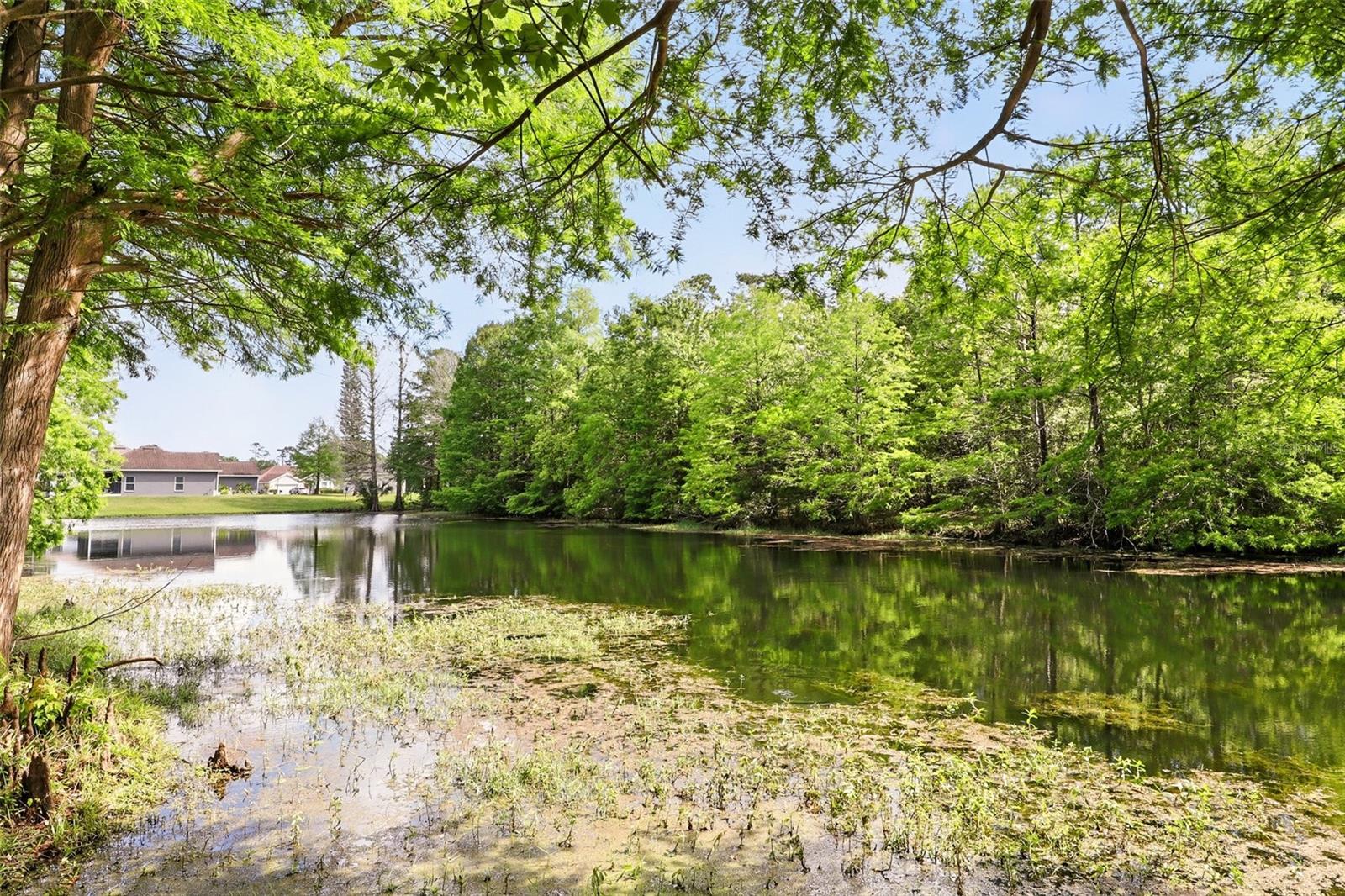2987 SABEL OAK PL, OVIEDO, FL, 32765