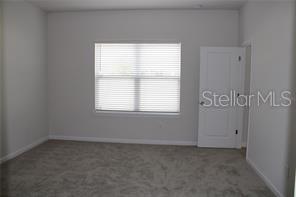 18291 FALLING PINE NEEDLE LN, LAND O LAKES, FL, 34638