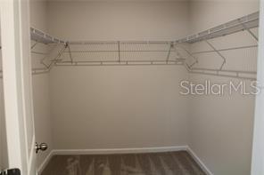 18291 FALLING PINE NEEDLE LN, LAND O LAKES, FL, 34638