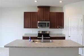 18291 FALLING PINE NEEDLE LN, LAND O LAKES, FL, 34638