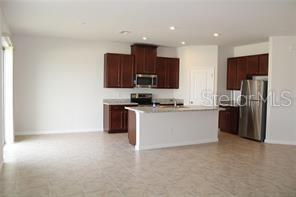 18291 FALLING PINE NEEDLE LN, LAND O LAKES, FL, 34638