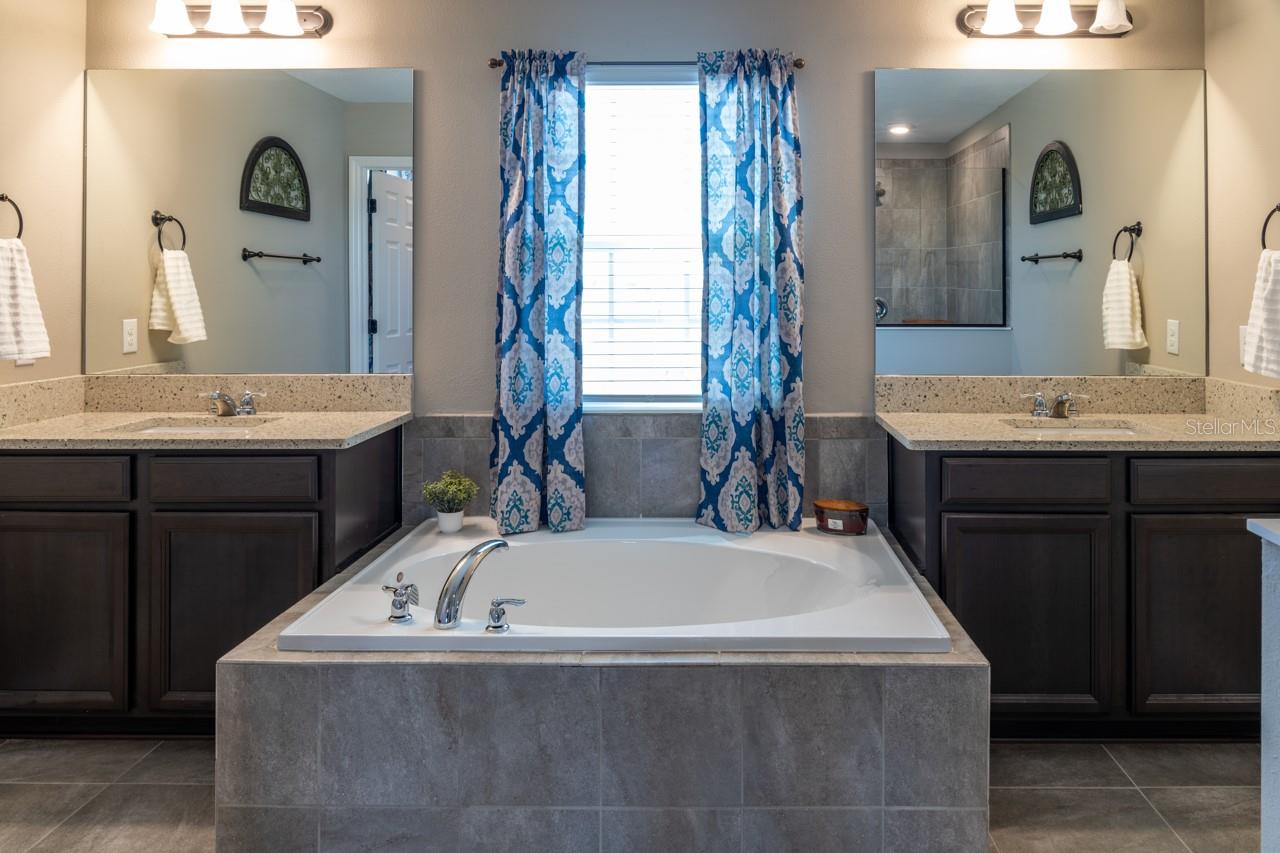 11702 TETRAFIN DR, RIVERVIEW, FL, 33579