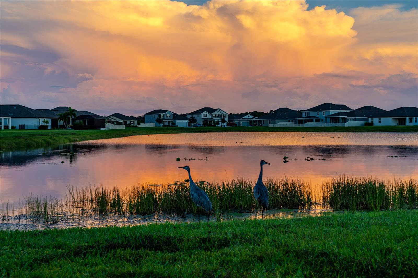 11702 TETRAFIN DR, RIVERVIEW, FL, 33579