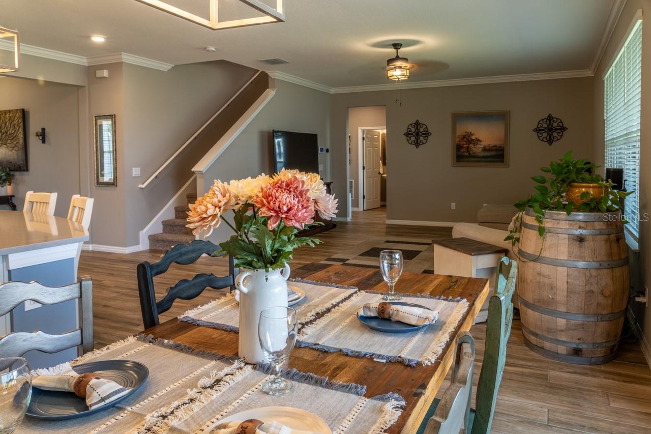 11702 TETRAFIN DR, RIVERVIEW, FL, 33579