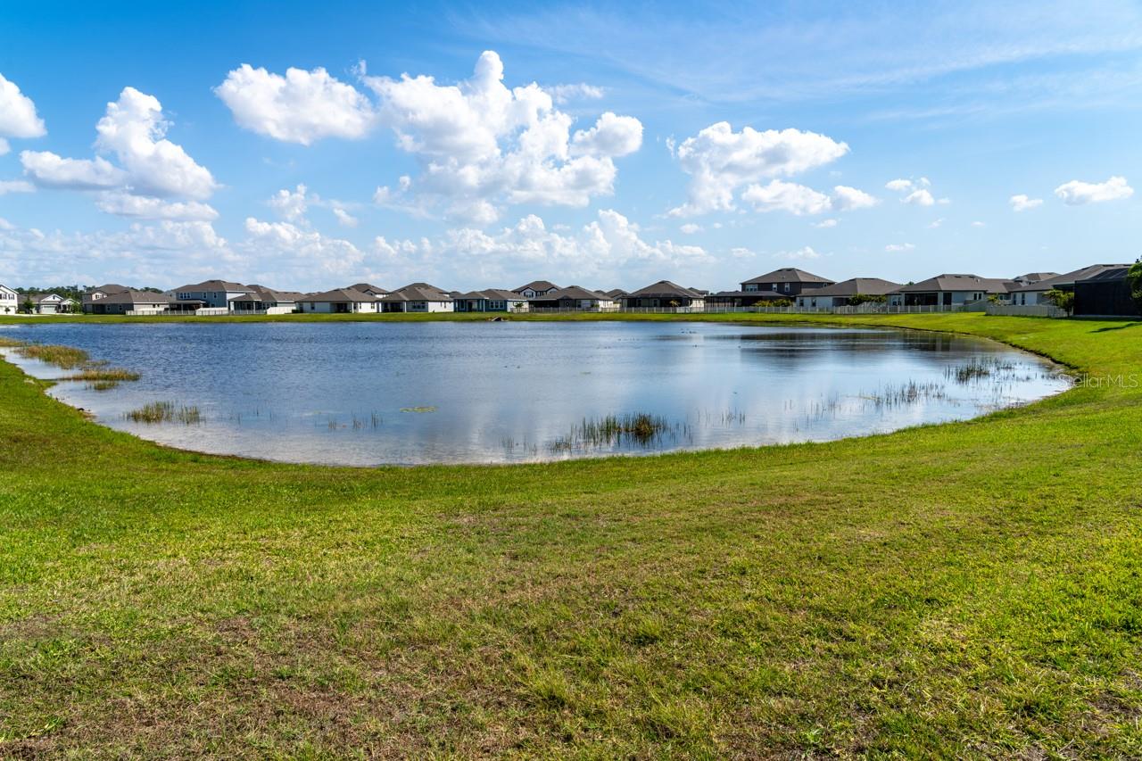 11702 TETRAFIN DR, RIVERVIEW, FL, 33579