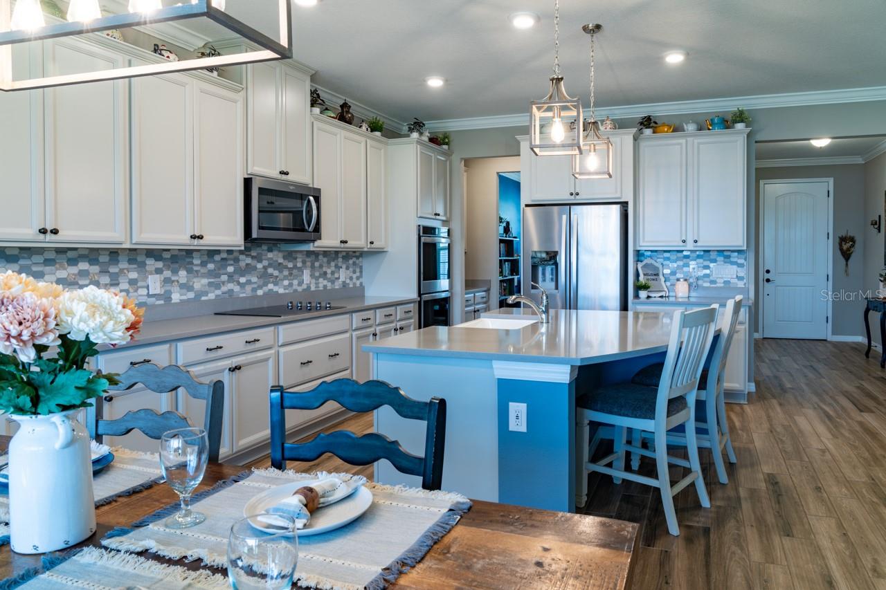 11702 TETRAFIN DR, RIVERVIEW, FL, 33579