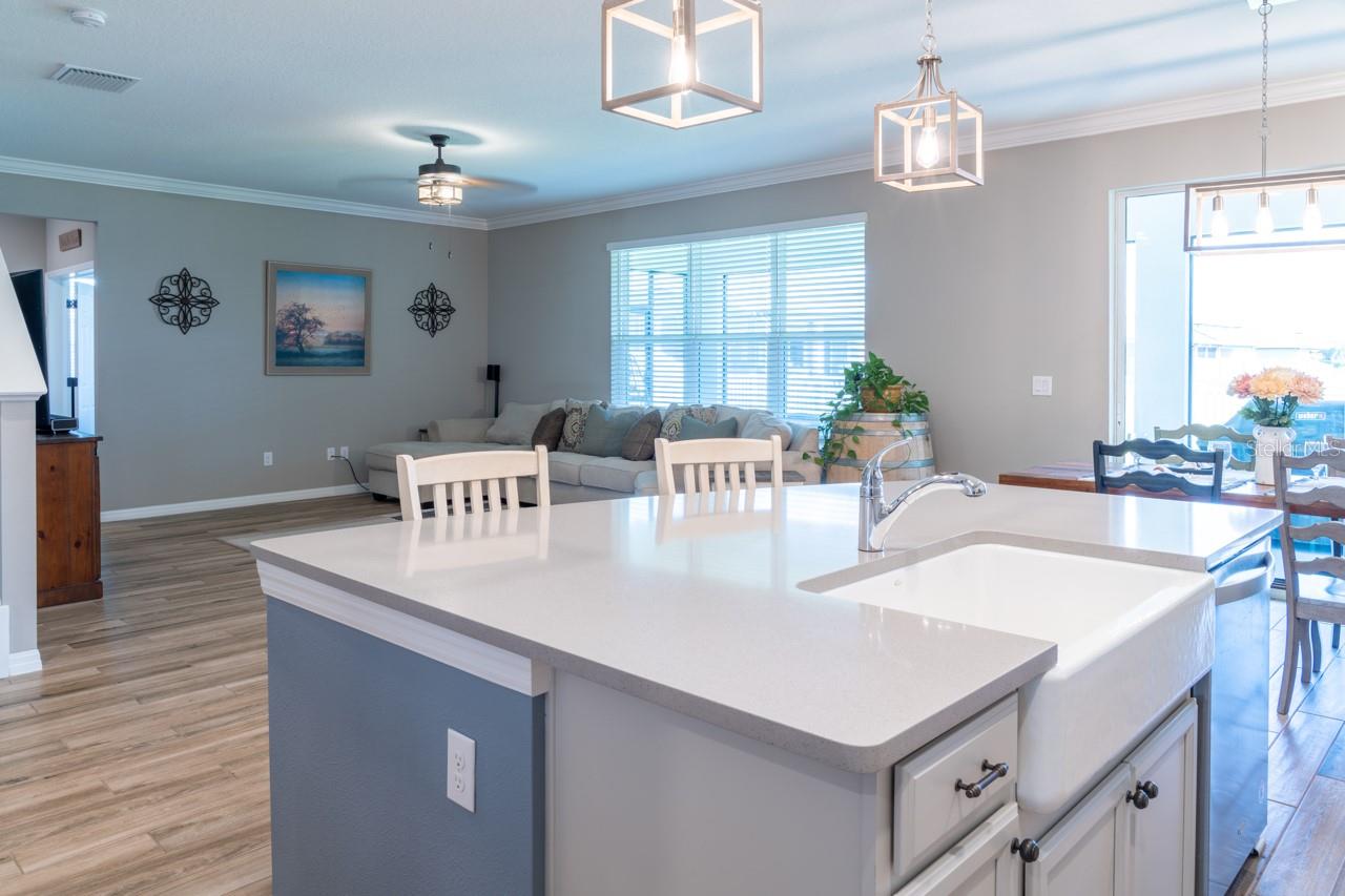 11702 TETRAFIN DR, RIVERVIEW, FL, 33579