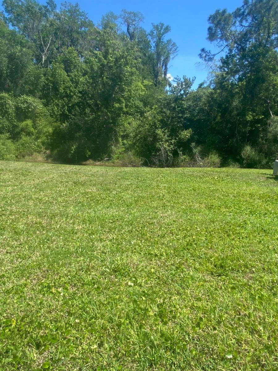 11728 CARISSA LN #0, NEW PORT RICHEY, FL, 34654