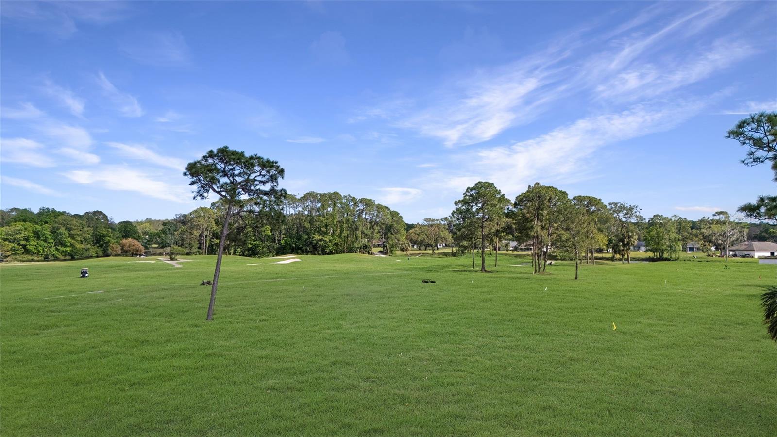 11728 CARISSA LN #0, NEW PORT RICHEY, FL, 34654