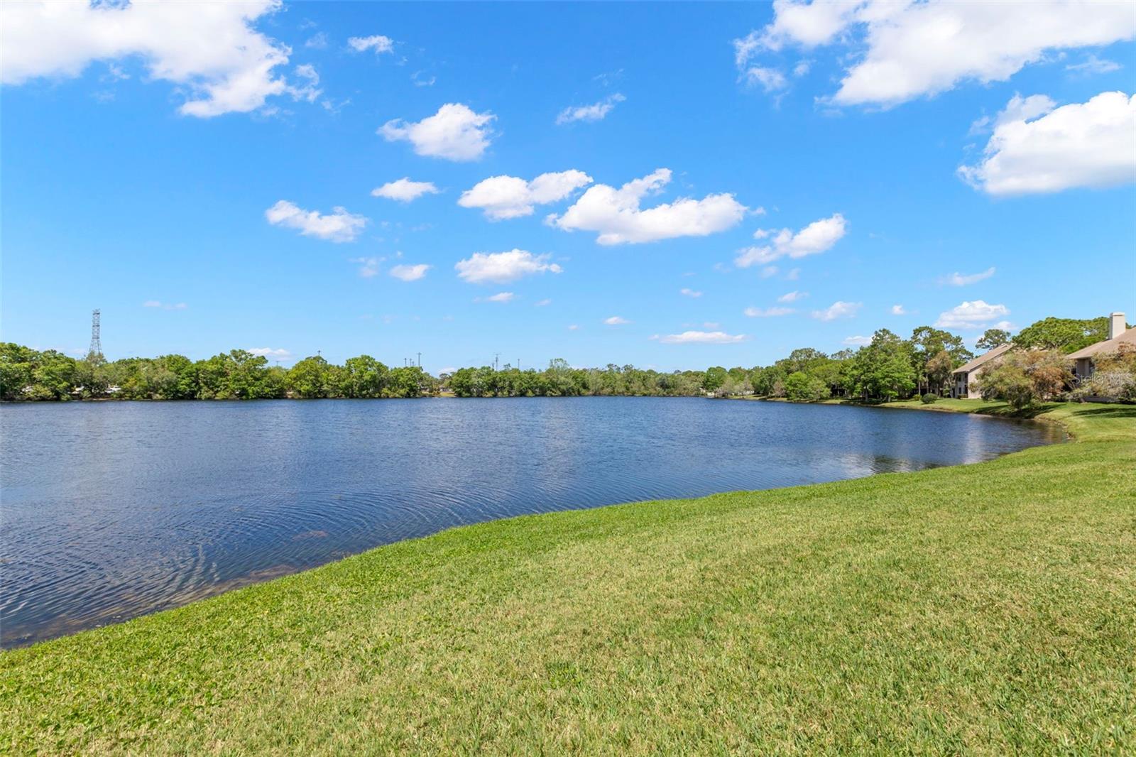 2782 COUNTRYSIDE BLVD #2, CLEARWATER, FL, 33761