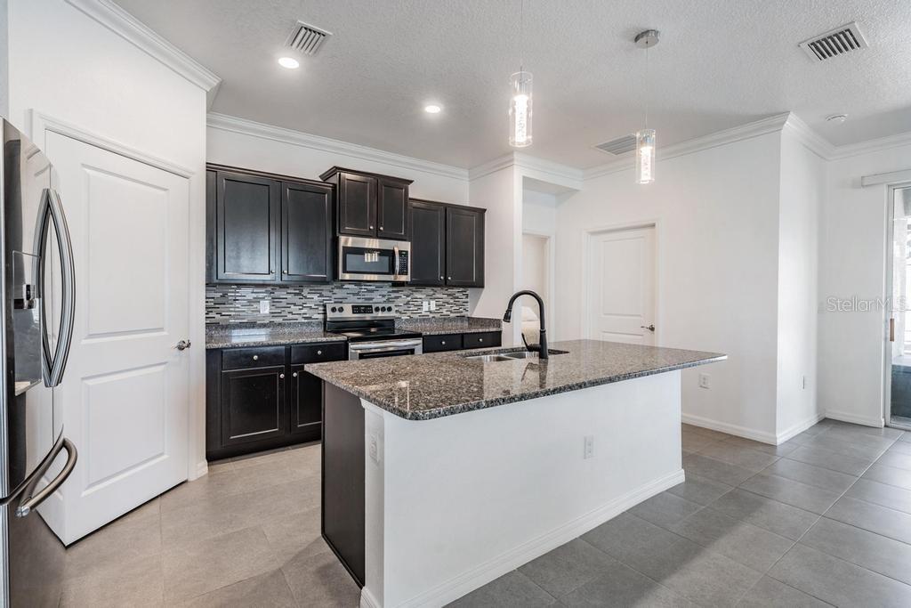 31649 TANSY BND, WESLEY CHAPEL, FL, 33545