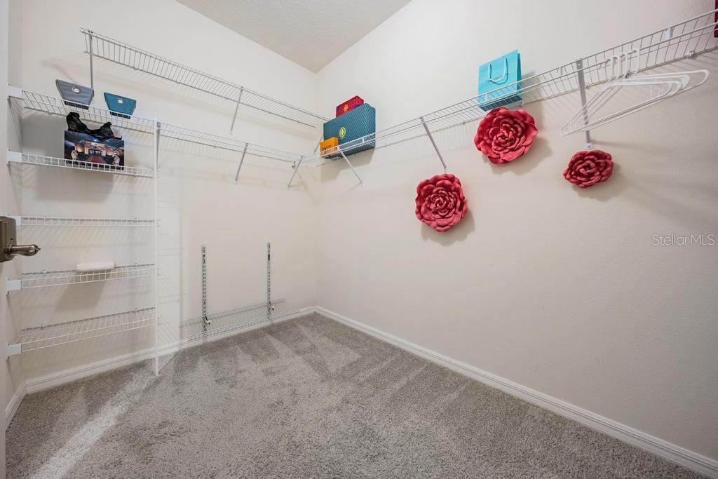 31649 TANSY BND, WESLEY CHAPEL, FL, 33545