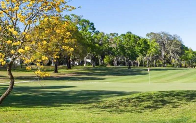 407 BELVEDERE OVAL, TEMPLE TERRACE, FL, 33617